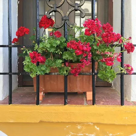 فندق مبيت وإفطار La Escondida Ronda,