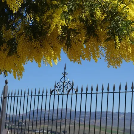 La Escondida Ronda, فندق مبيت وإفطار