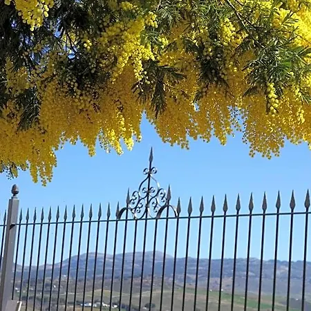 La Escondida Ronda, 4*