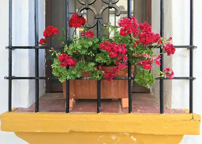 住宿加早餐酒店 La Escondida Ronda,