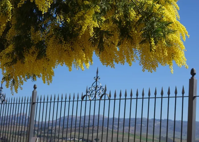 La Escondida Ronda, לינה וארוחת בוקר
